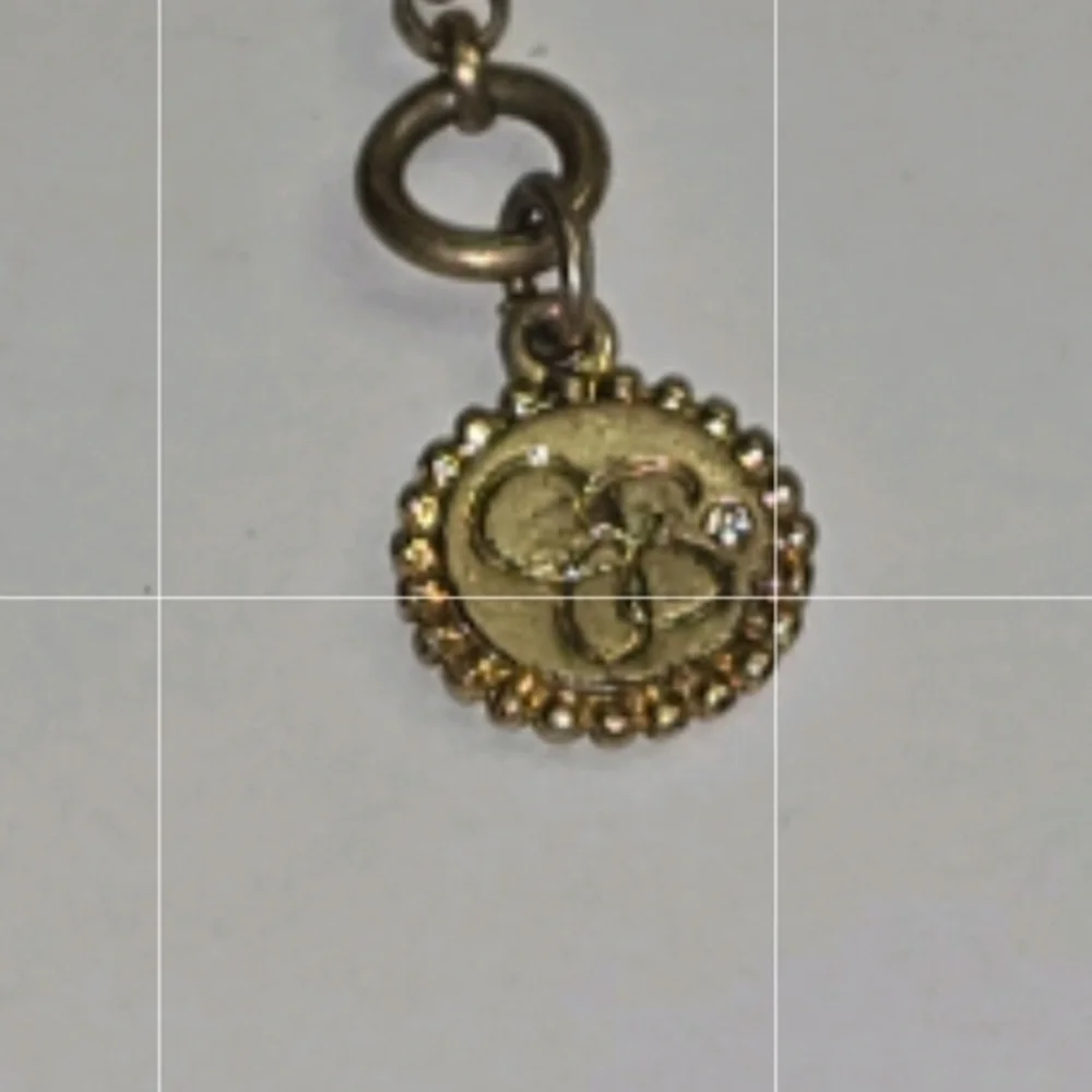Jessica‎ Simpson Gold Charm Statement Necklace with Pink and Green Accents